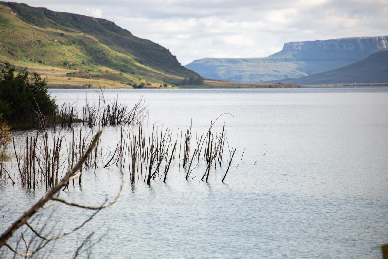 Wild Horses Lodge Harrismith Ngoại thất bức ảnh