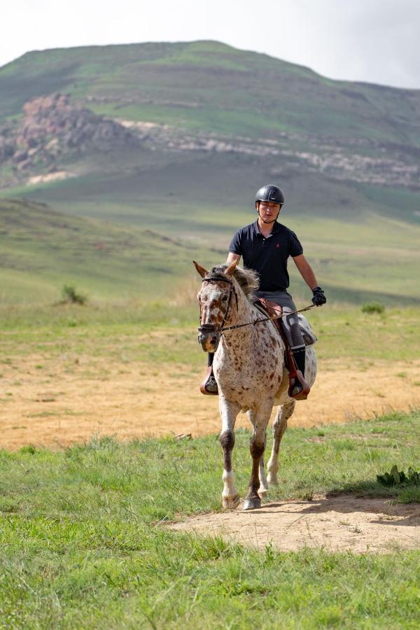 Wild Horses Lodge Harrismith Ngoại thất bức ảnh