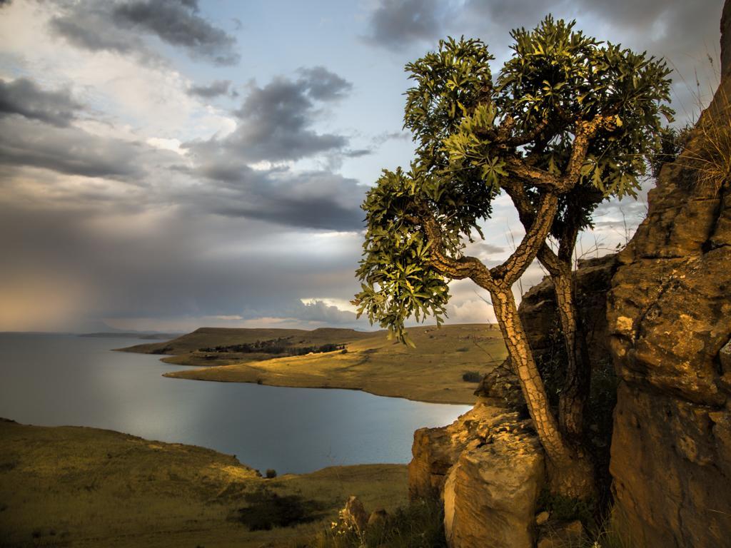 Wild Horses Lodge Harrismith Ngoại thất bức ảnh