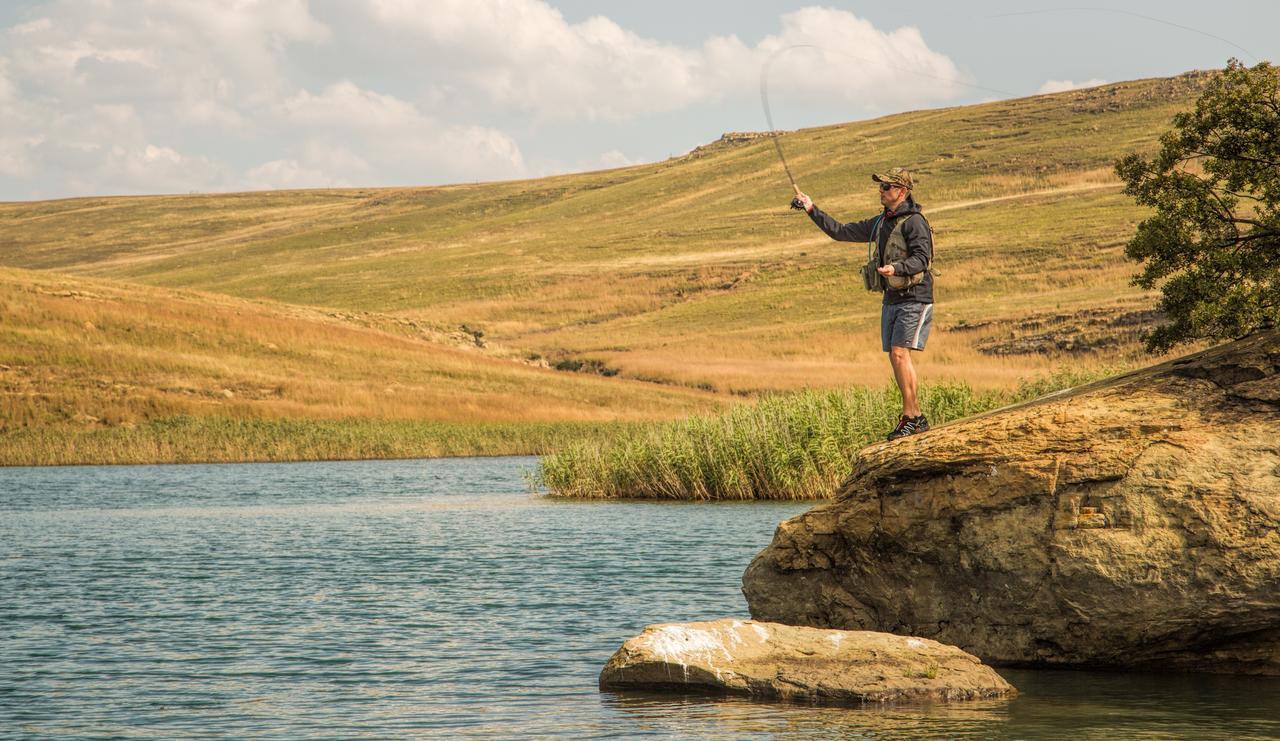 Wild Horses Lodge Harrismith Ngoại thất bức ảnh