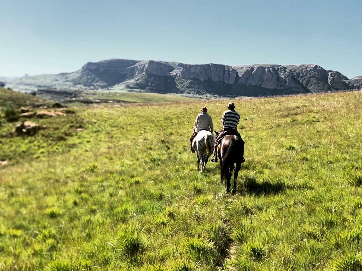 Wild Horses Lodge Harrismith Ngoại thất bức ảnh